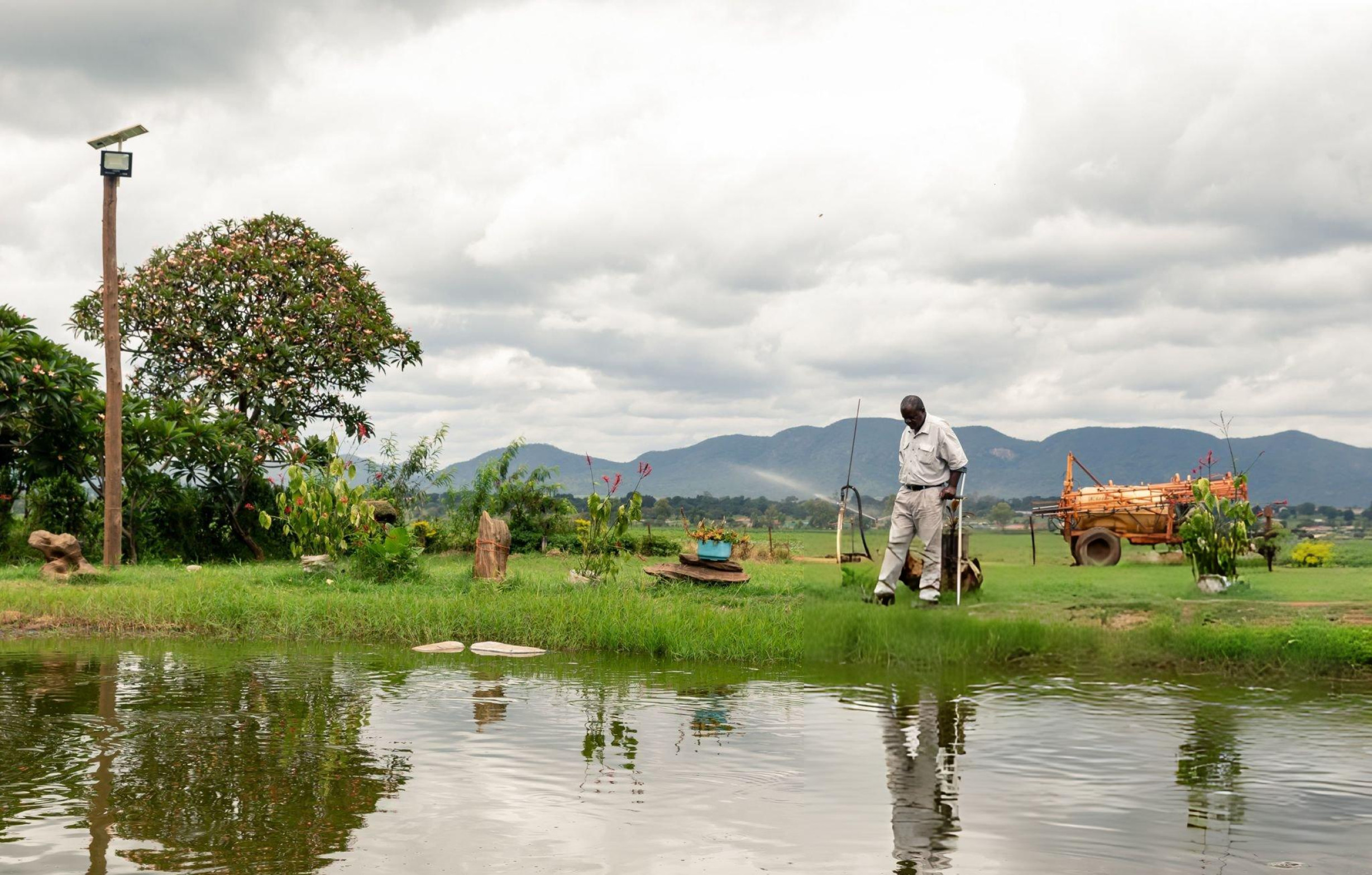 Nigerian rice farmer
